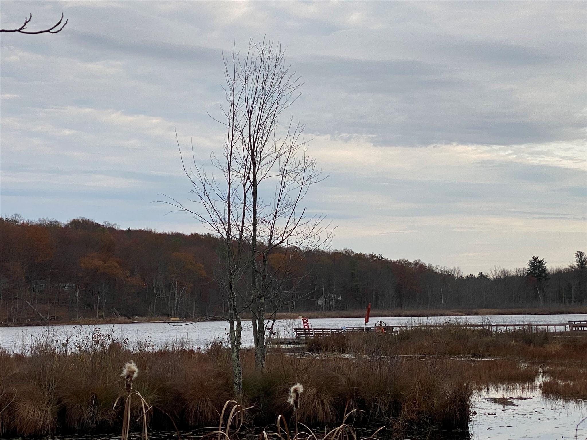 22 Beacham Road, Rhinebeck, NY 12572