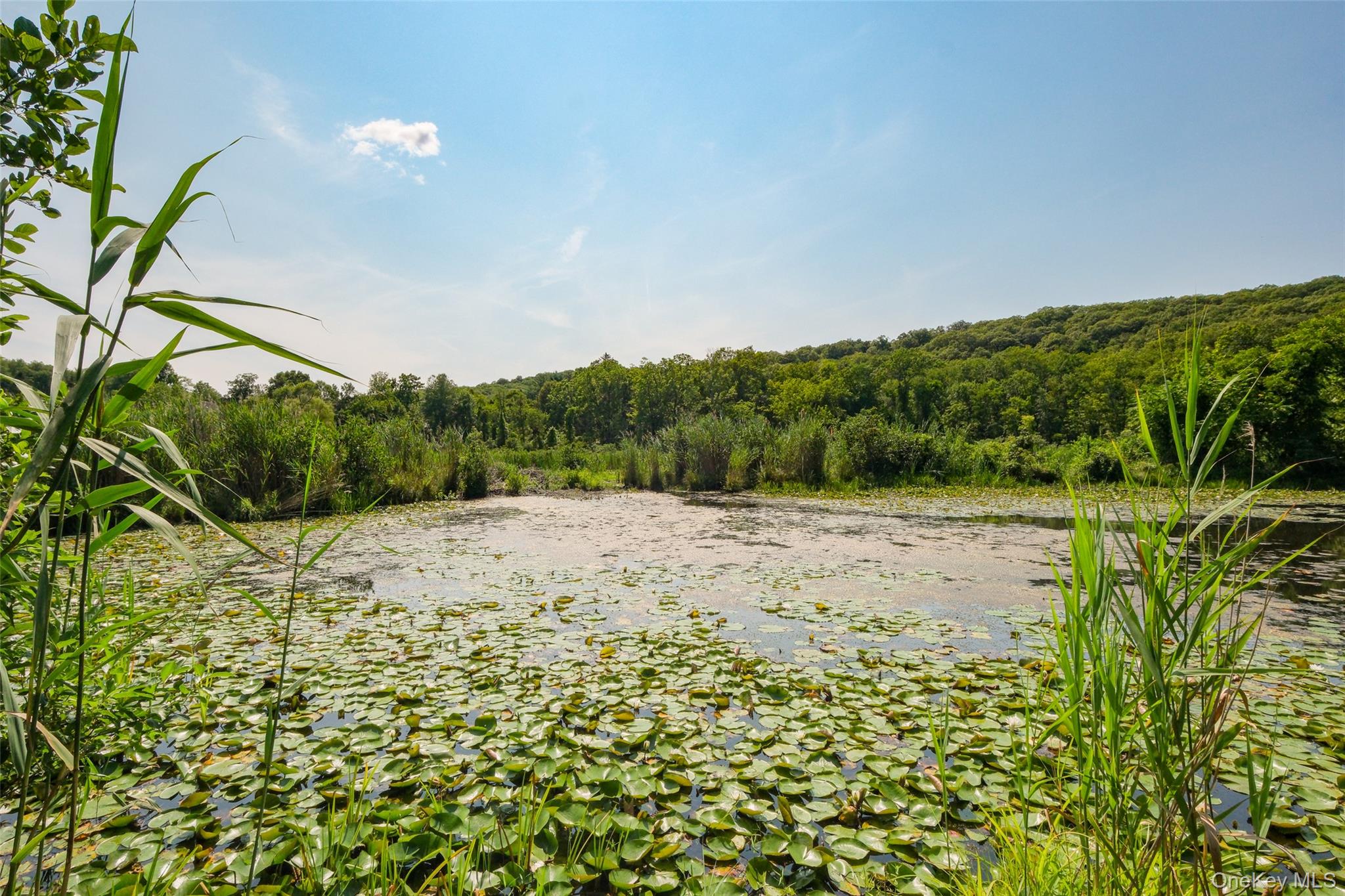 11 Trail Of The Hemlocks, Putnam Valley, NY 10579