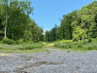 8 Chelsea Road, Hughsonville, NY 12590