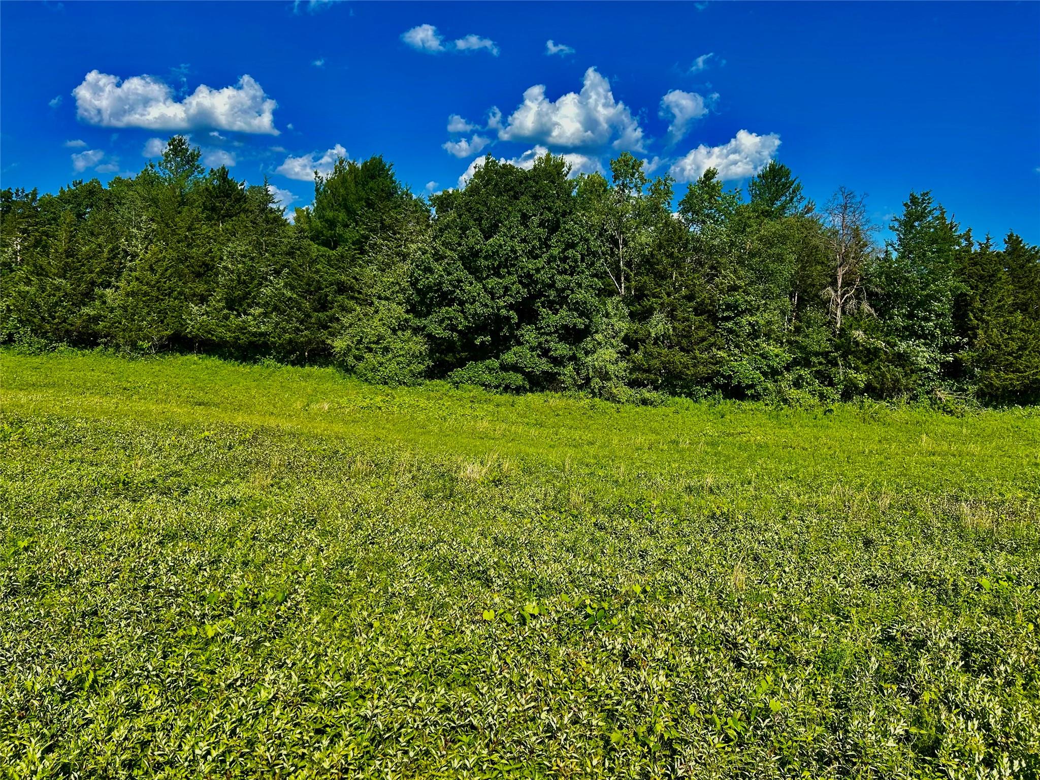 Mambert/Water Street Road, Hudson, NY 12534