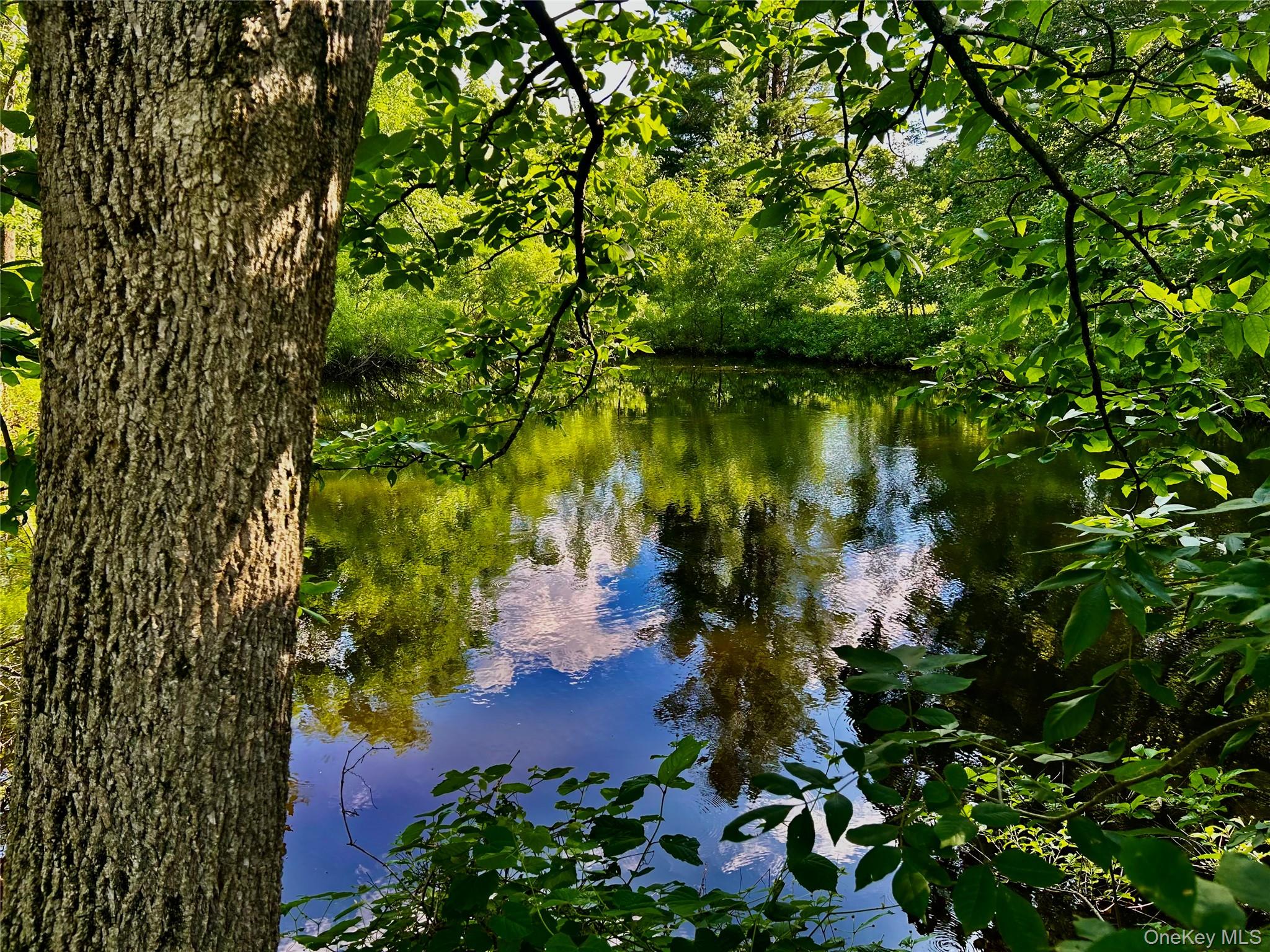 Mambert/Water Street Road, Hudson, NY 12534