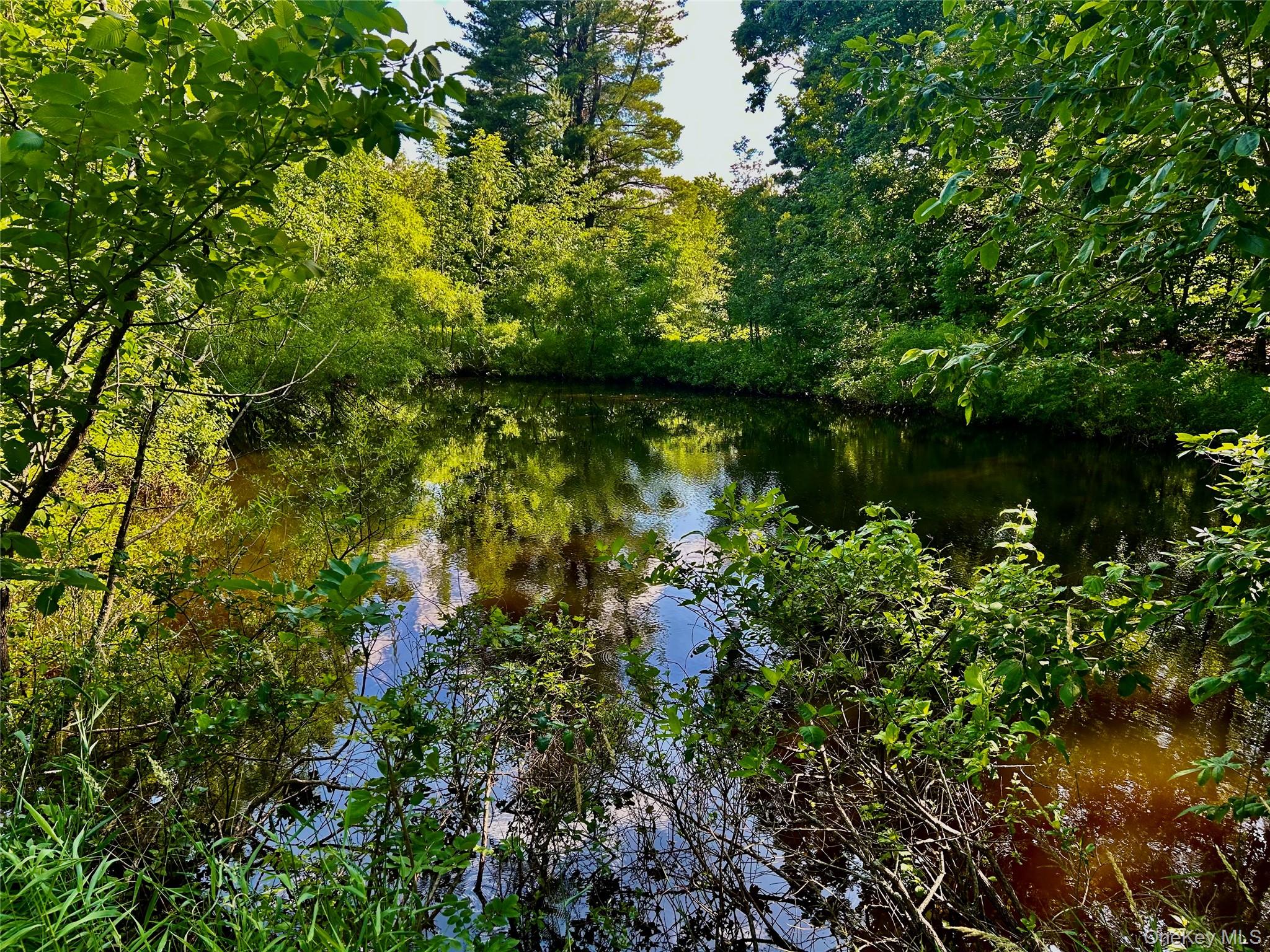 Mambert/Water Street Road, Hudson, NY 12534