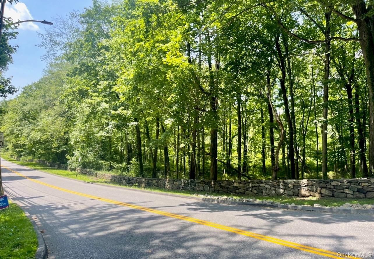 0 Barnes Lane, Purchase, NY 10577