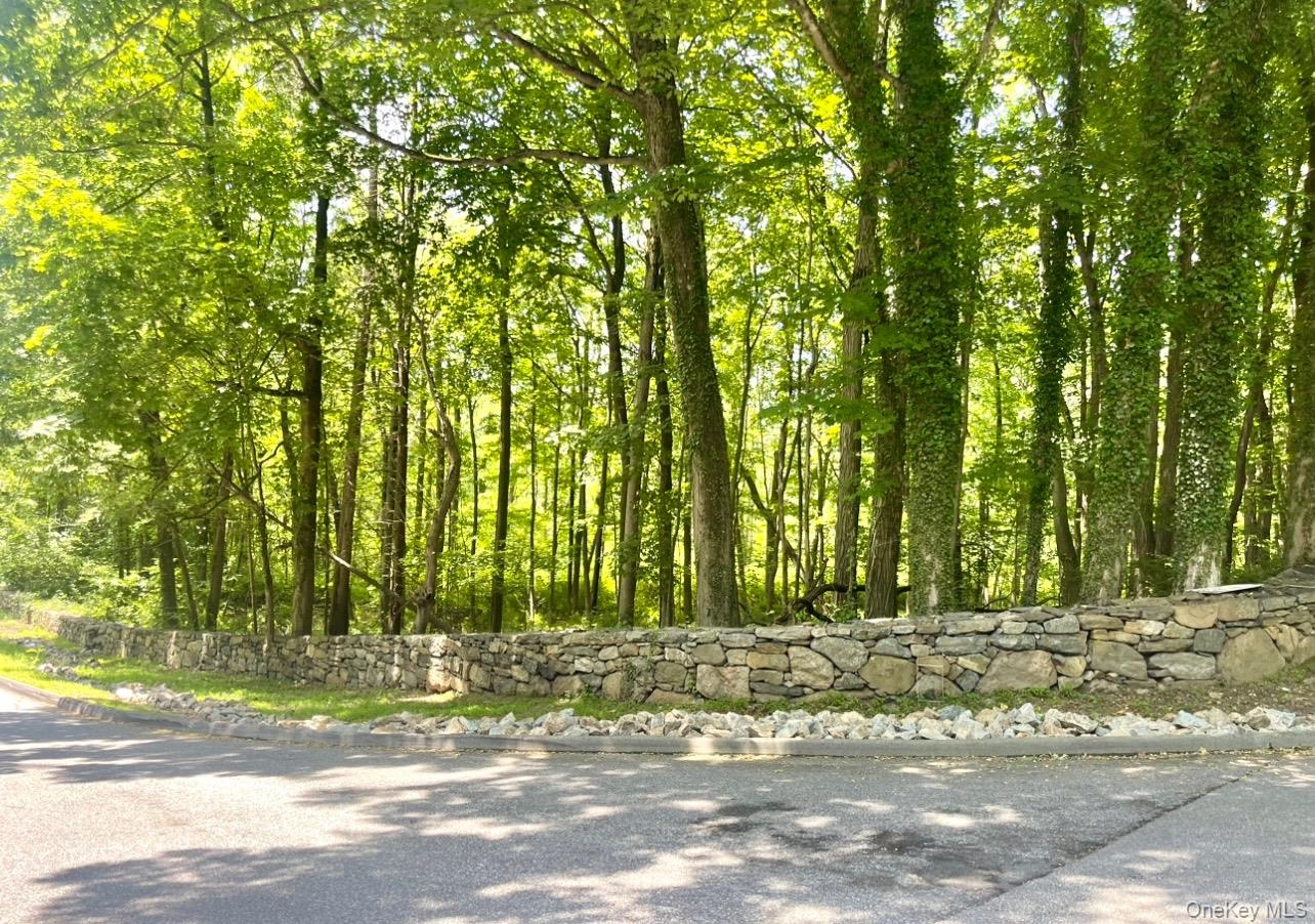 0 Barnes Lane, Purchase, NY 10577