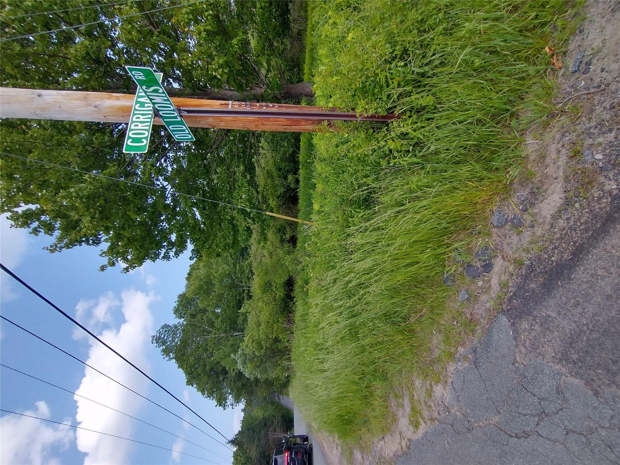 Old Loomis Road, Liberty, NY 12734