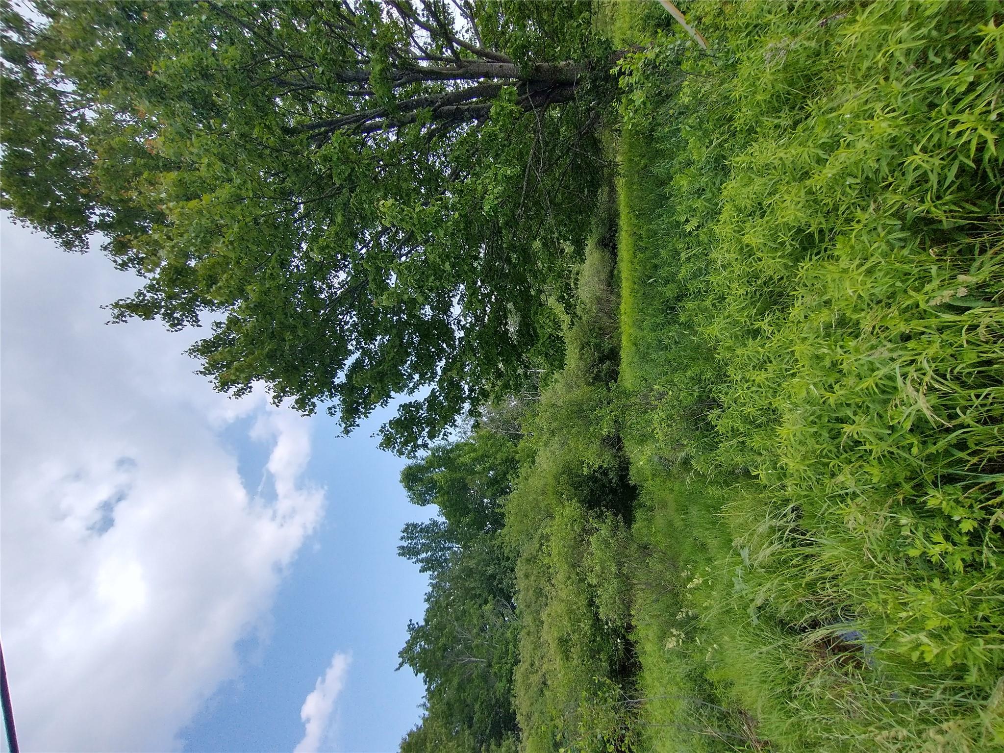 Old Loomis Road, Liberty, NY 12734