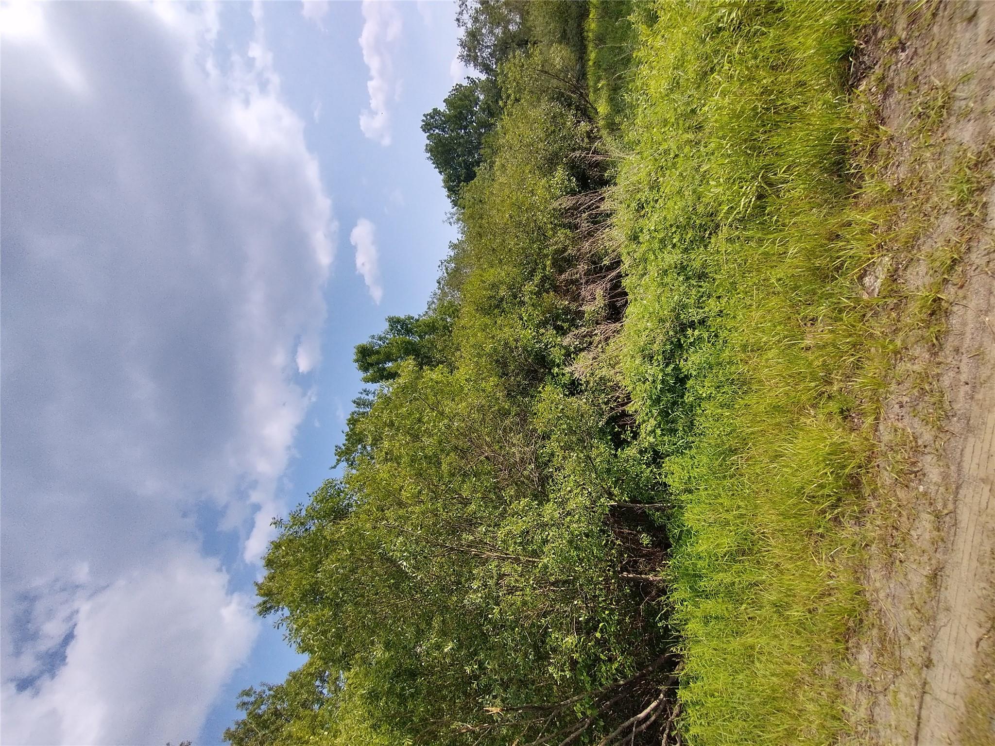 Old Loomis Road, Liberty, NY 12734
