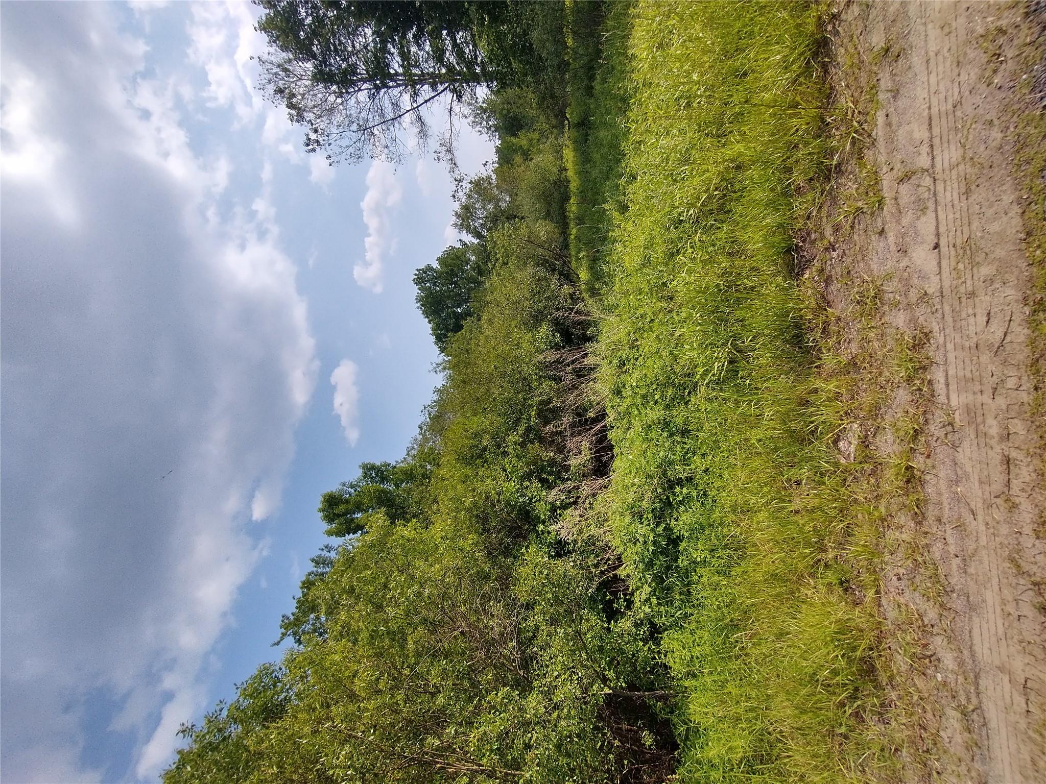 Old Loomis Road, Liberty, NY 12734