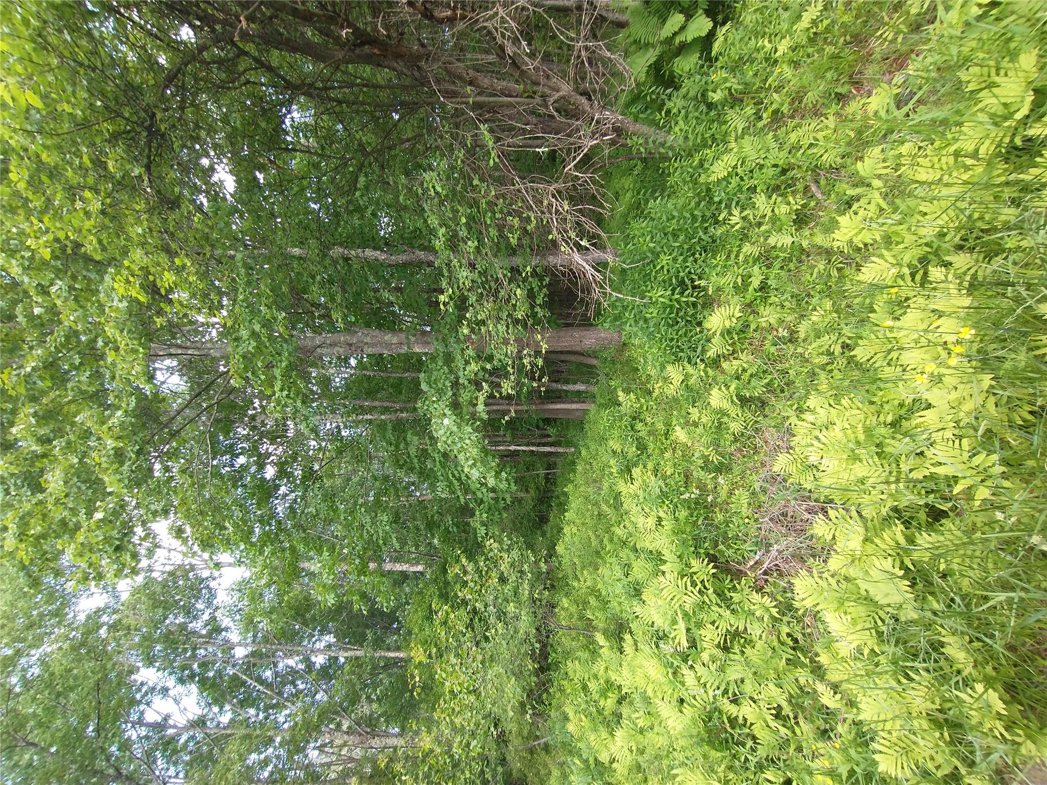 Old Loomis Road, Liberty, NY 12734