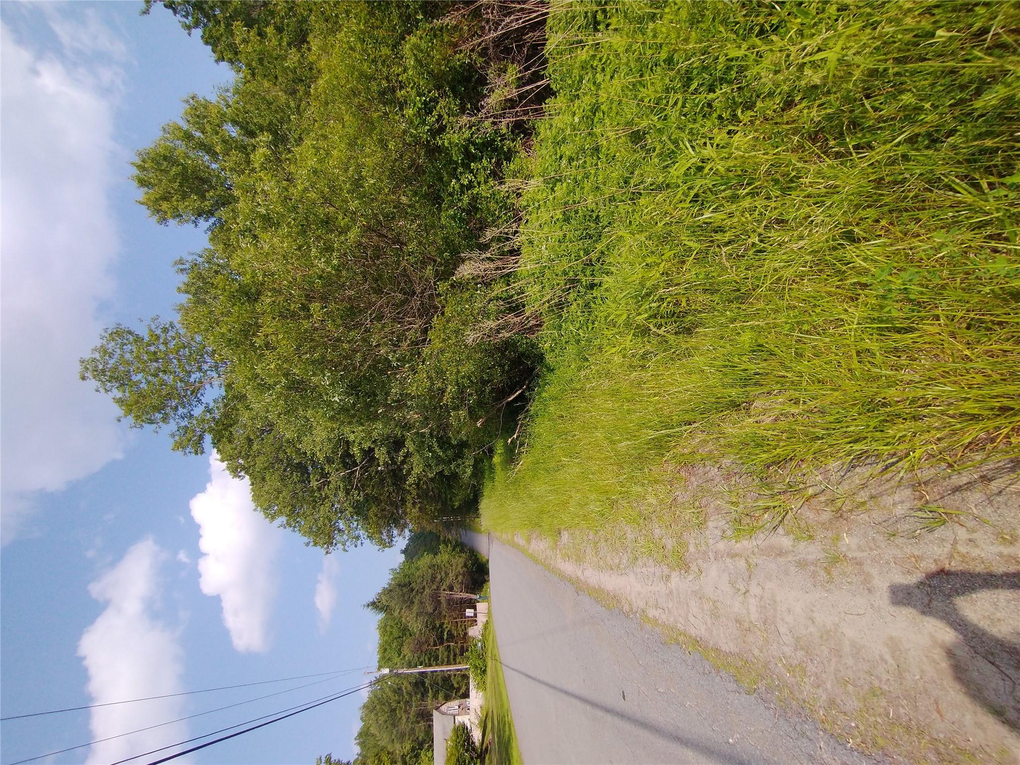 Old Loomis Road, Liberty, NY 12734