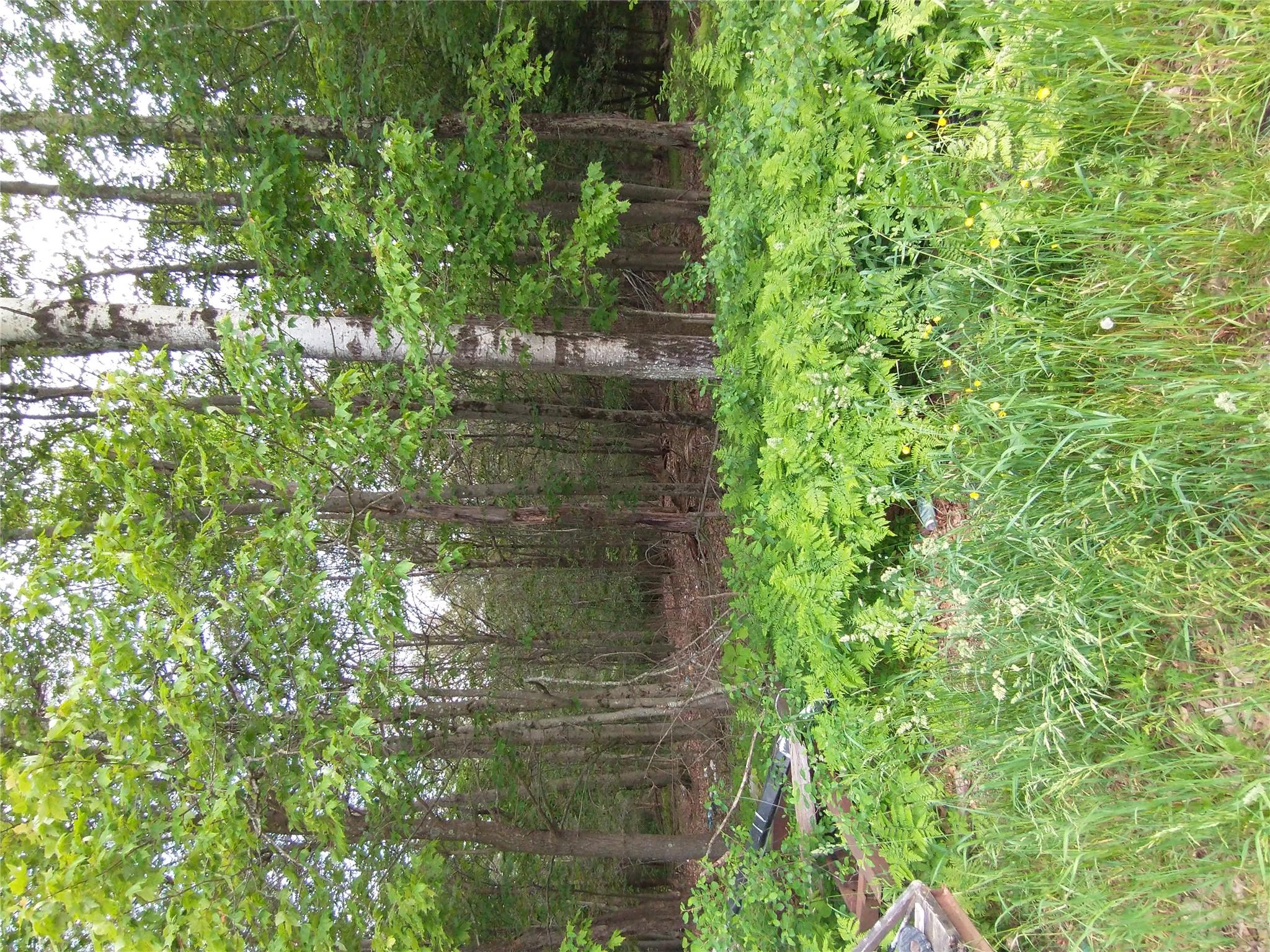 Old Loomis Road, Liberty, NY 12734