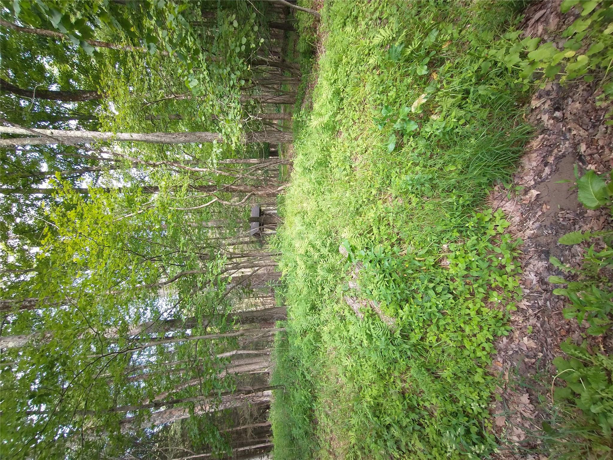 Old Loomis Road, Liberty, NY 12734