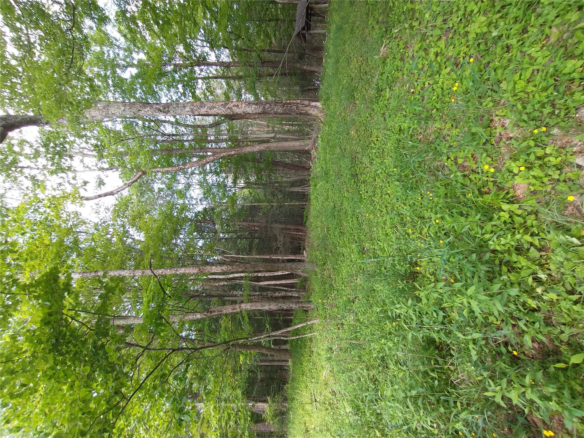 Old Loomis Road, Liberty, NY 12734