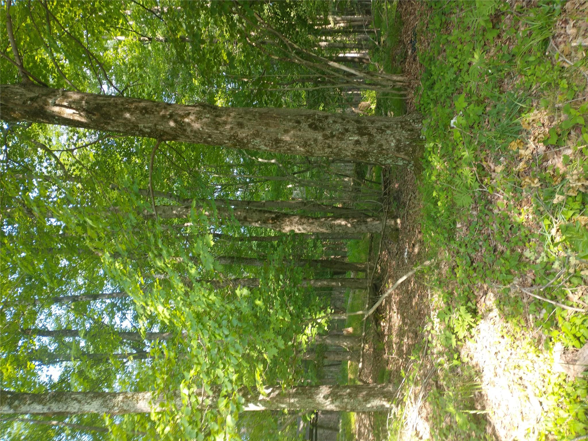 Old Loomis Road, Liberty, NY 12734