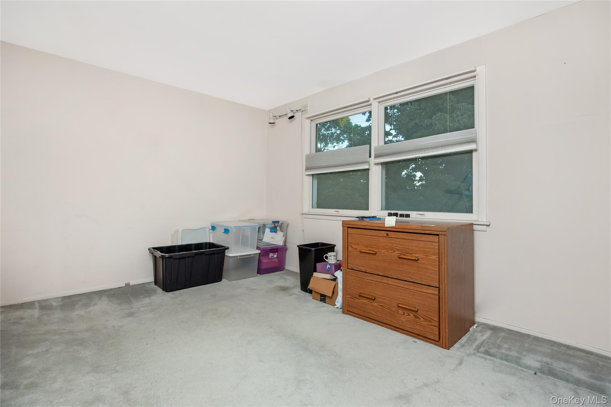 263 Foster Avenue, Malverne, NY 11565