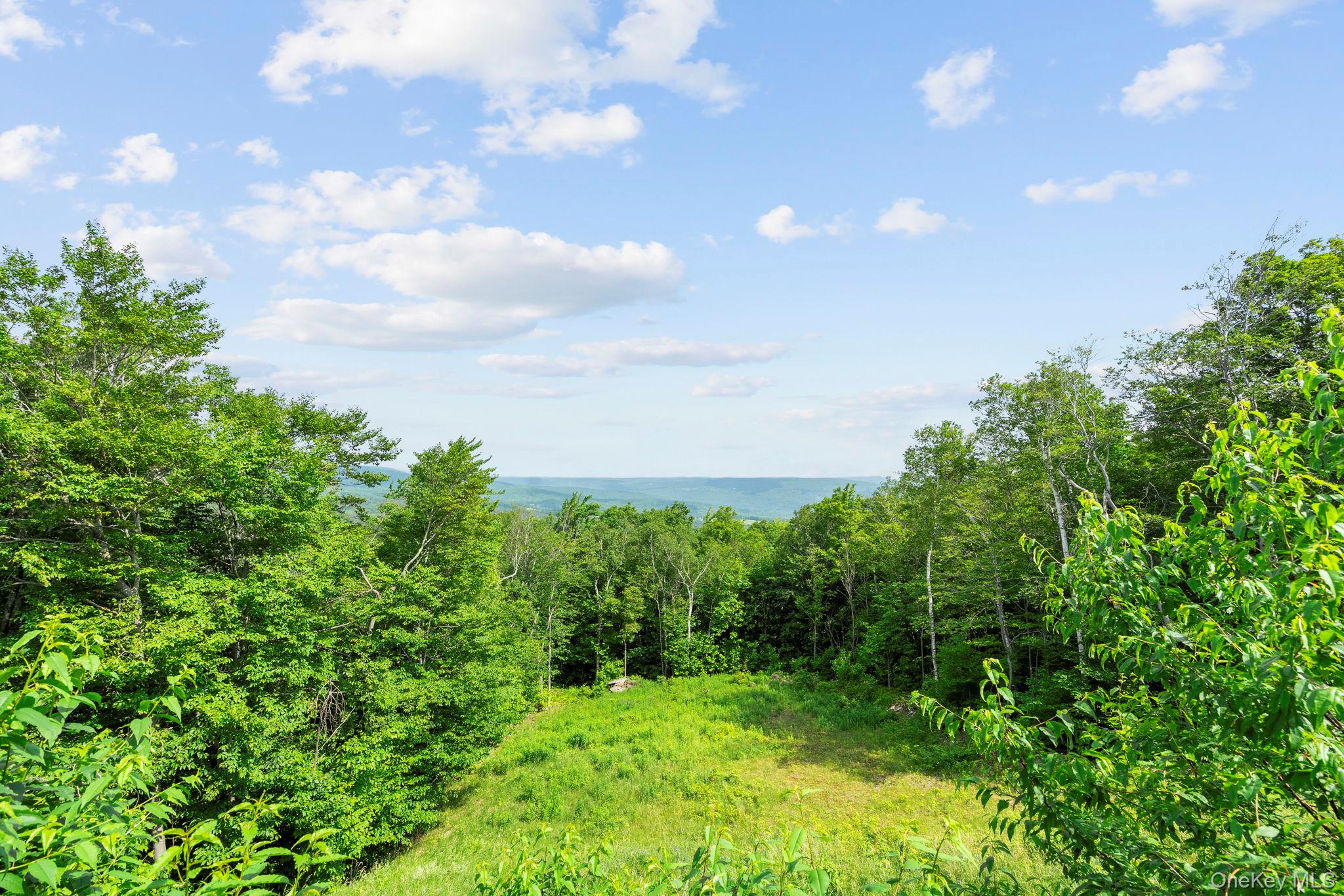 892 Durham Road, Gilboa, NY 12076