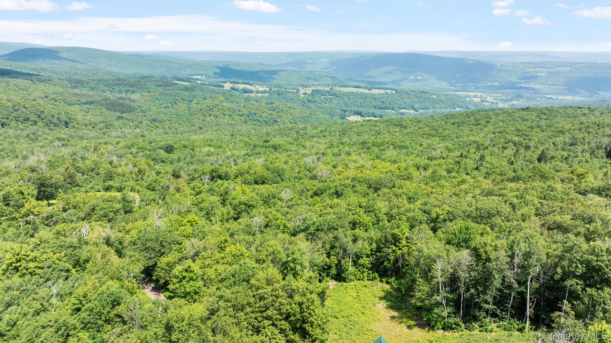 892 Durham Road, Gilboa, NY 12076