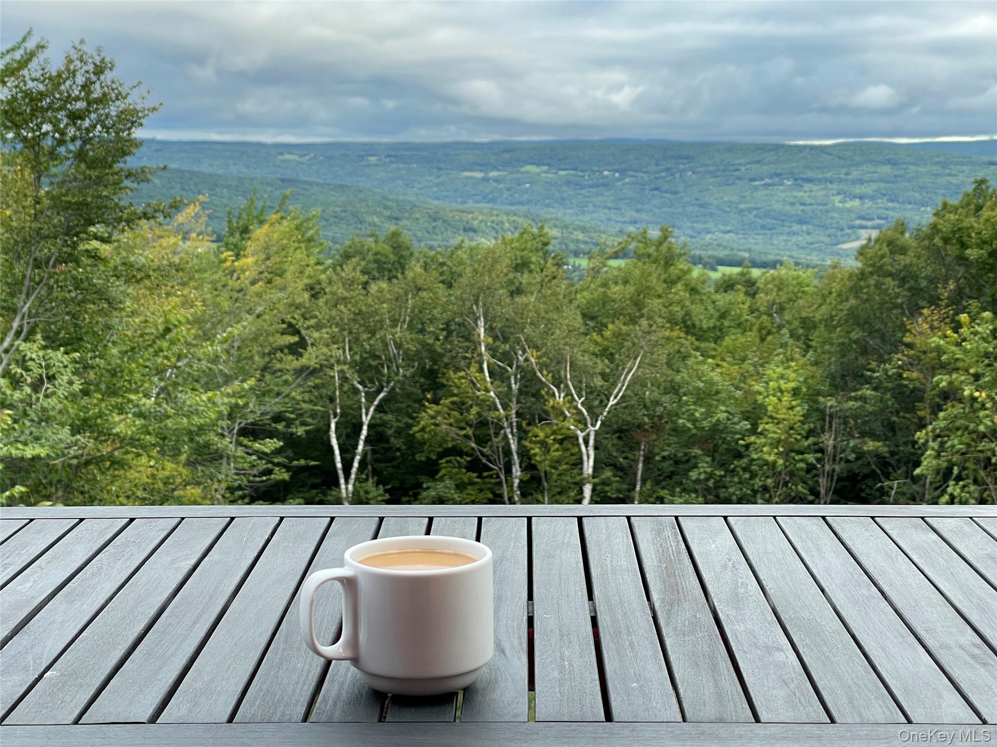 892 Durham Road, Gilboa, NY 12076