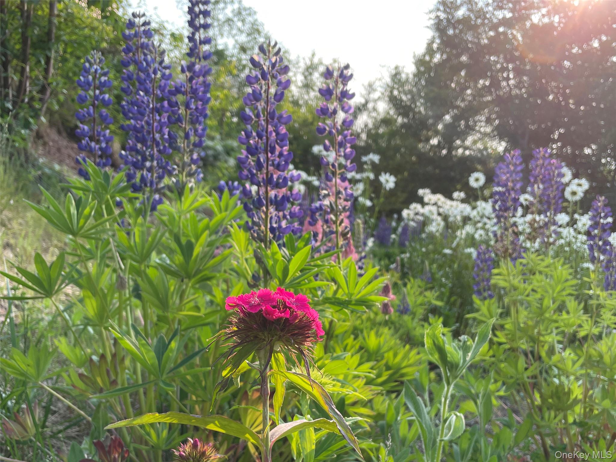 892 Durham Road, Gilboa, NY 12076