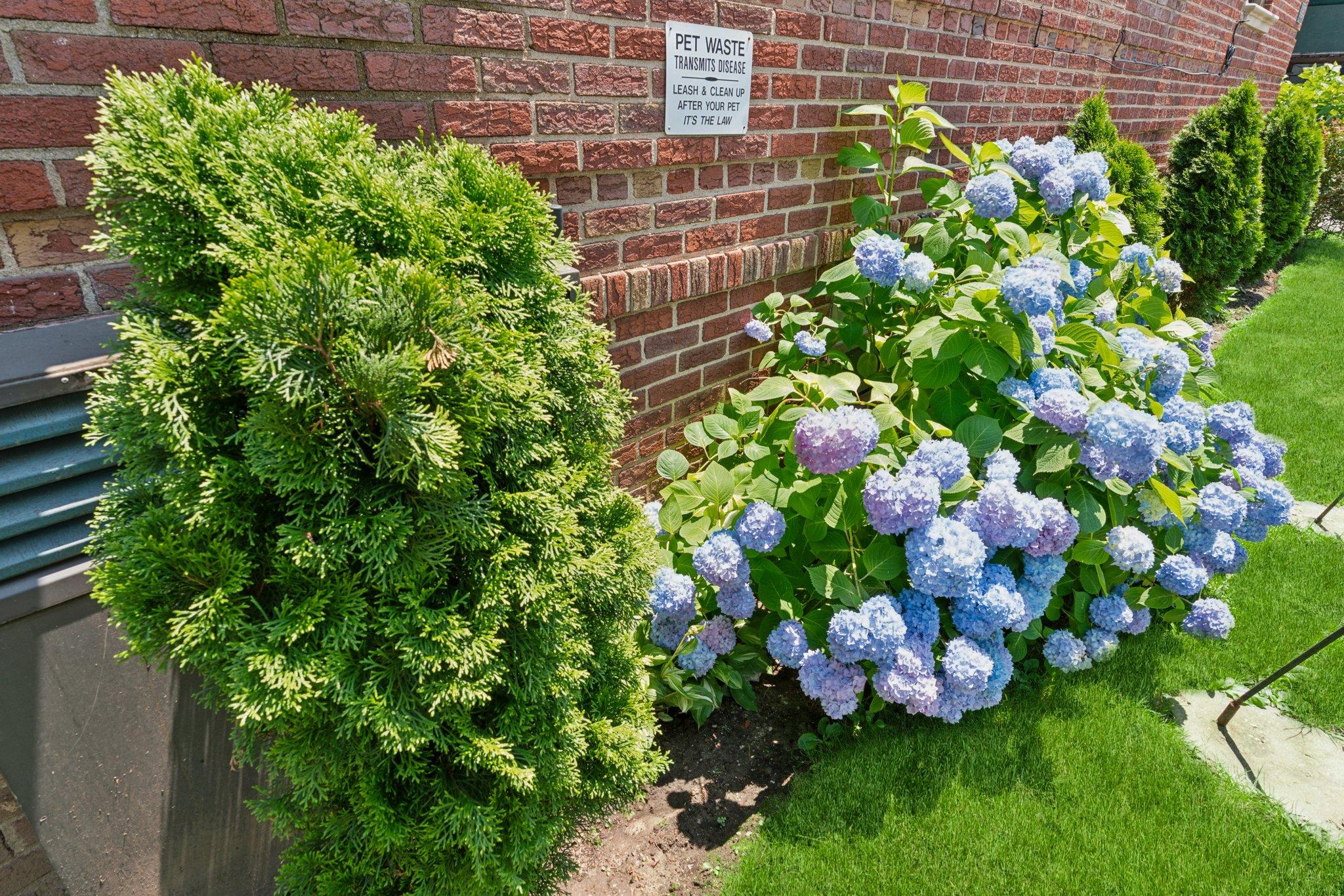 2835 Bedford Avenue # 3E, Brooklyn, NY 11210