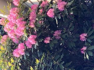 125 Mountain Rest, New Paltz, NY 12561