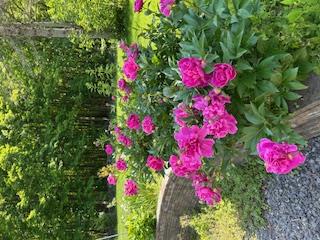 125 Mountain Rest, New Paltz, NY 12561