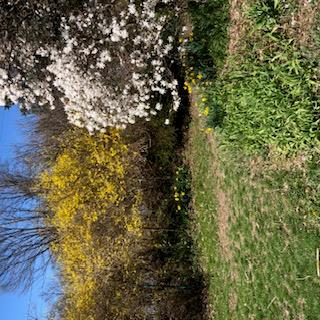 125 Mountain Rest, New Paltz, NY 12561