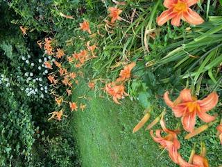 125 Mountain Rest, New Paltz, NY 12561