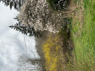 125 Mountain Rest, New Paltz, NY 12561