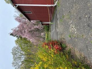 125 Mountain Rest, New Paltz, NY 12561