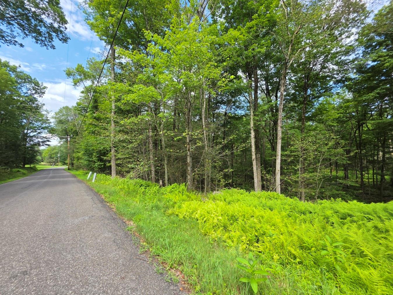 Gregory Road, Monticello, NY 12701