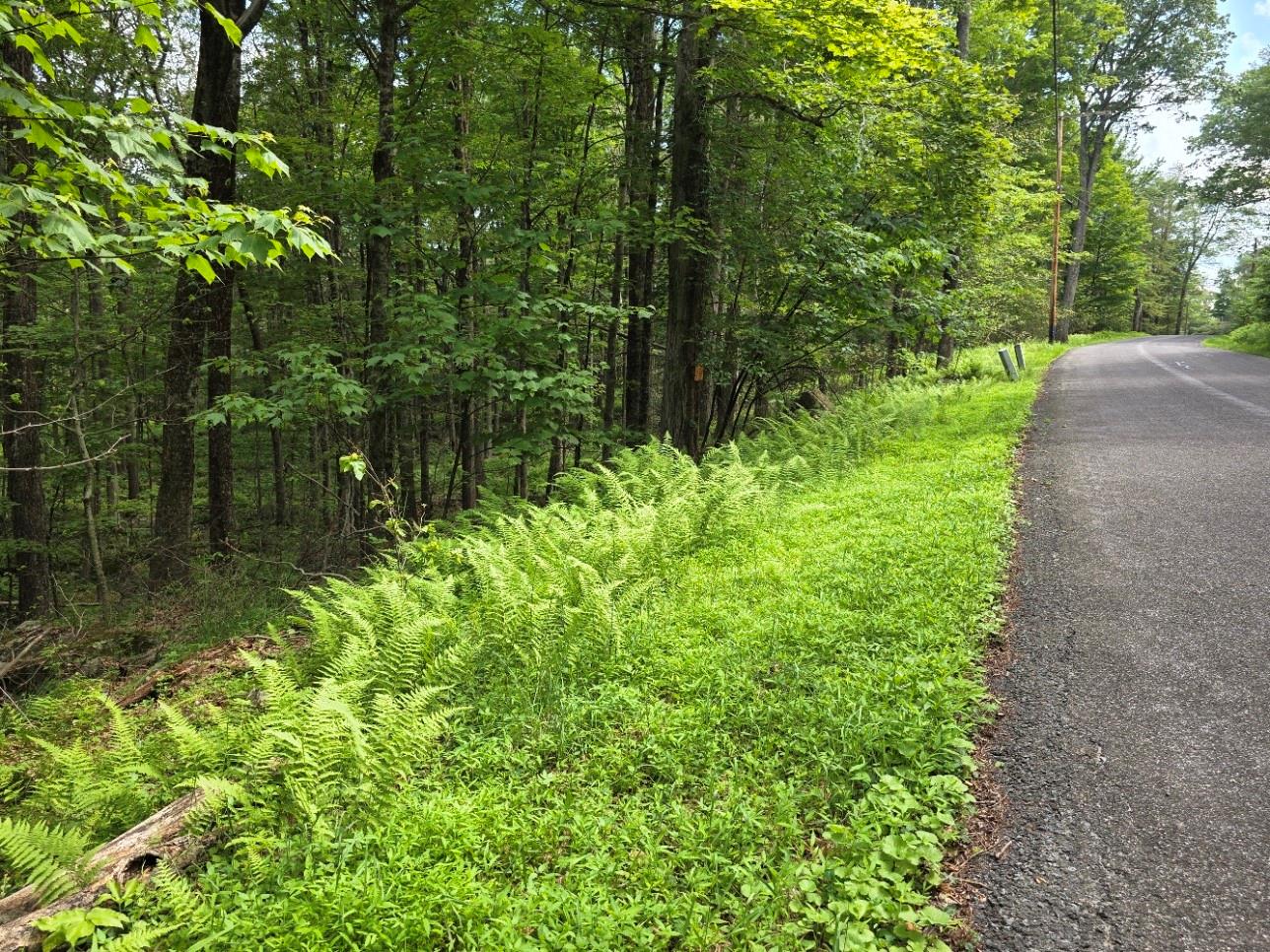 Gregory Road, Monticello, NY 12701