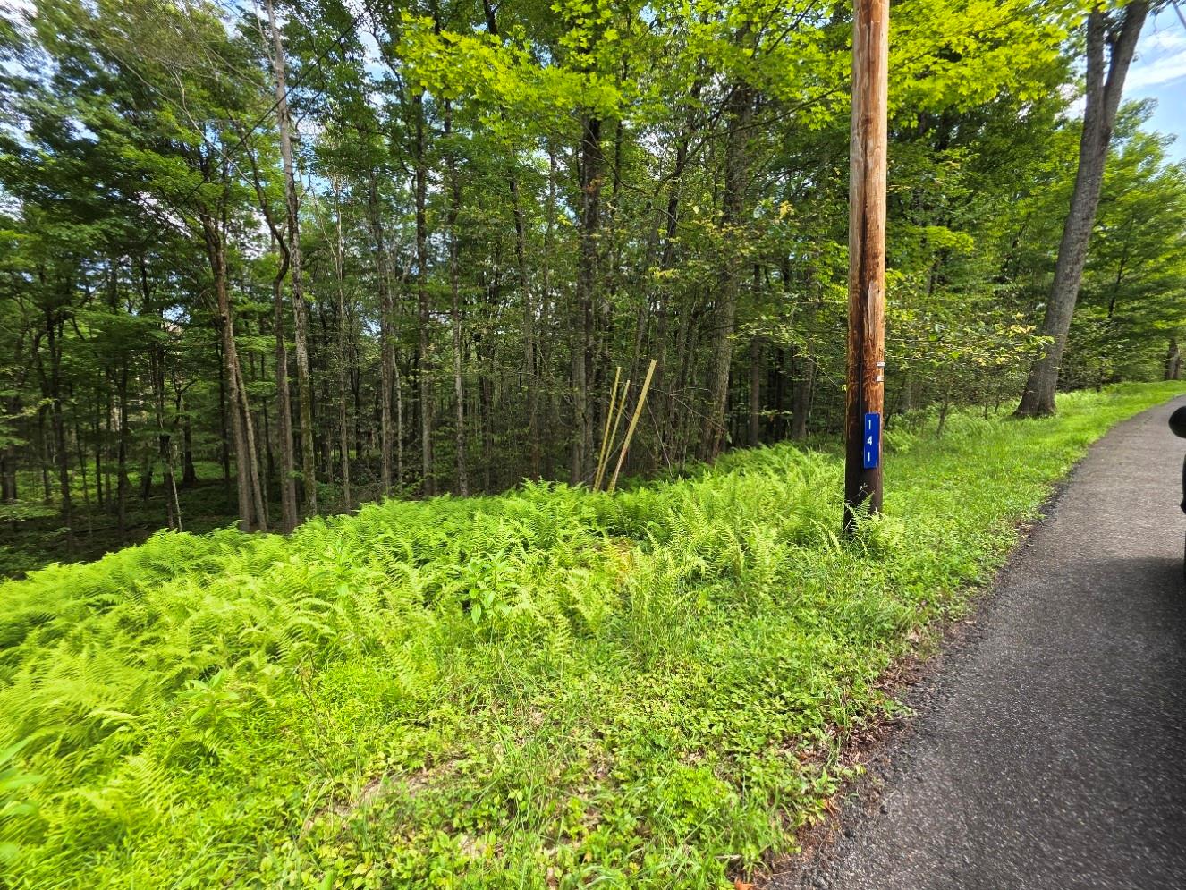 Gregory Road, Monticello, NY 12701