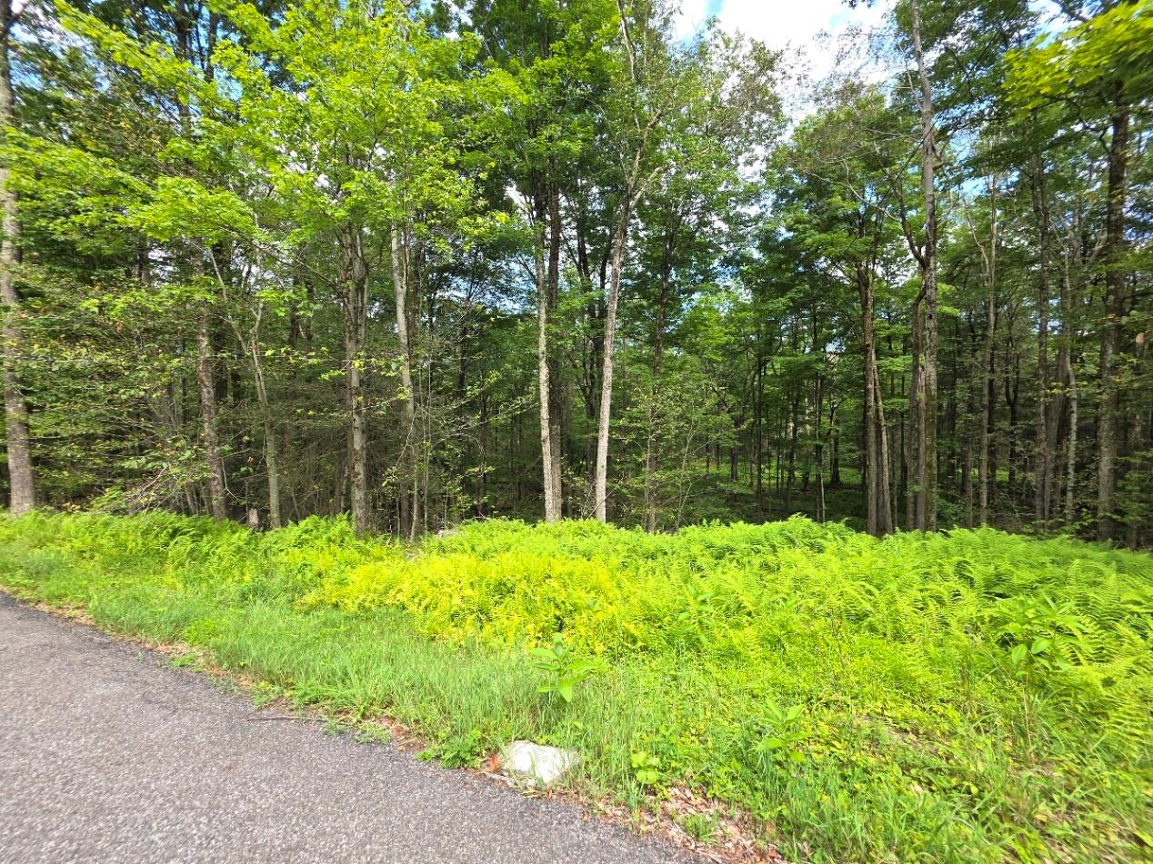 Gregory Road, Monticello, NY 12701