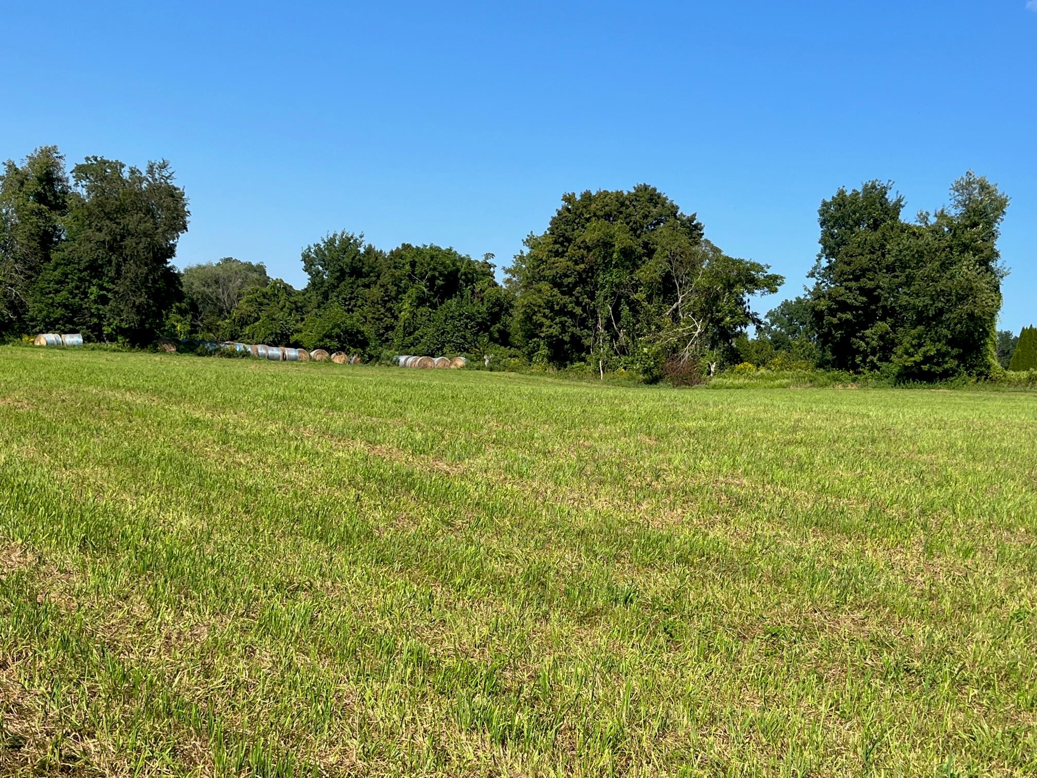 Kent Road, Wassaic, NY 12592