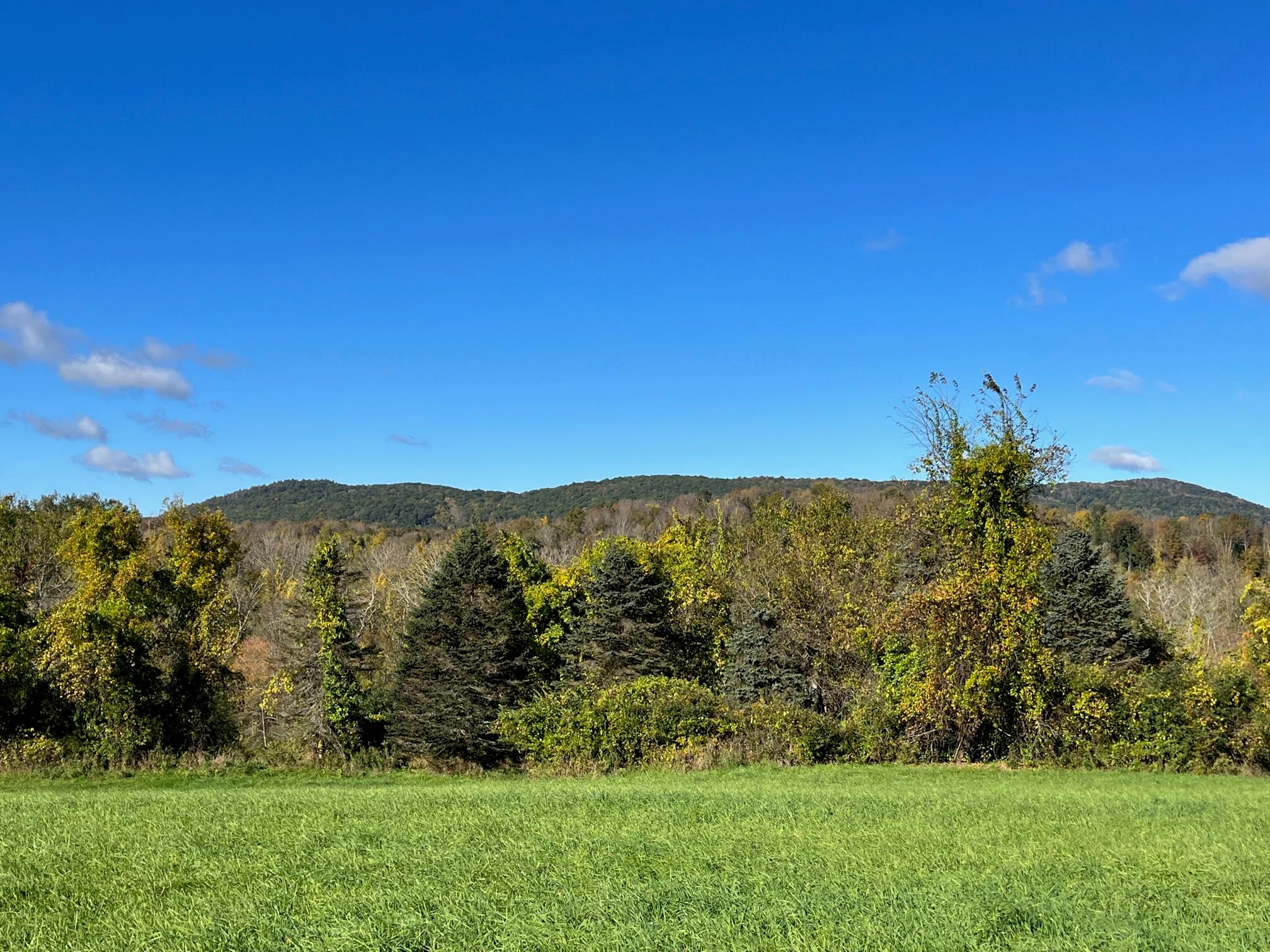 Kent Road, Wassaic, NY 12592