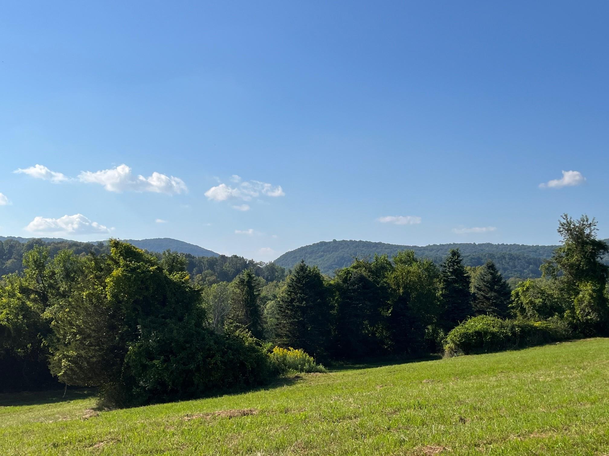 Kent Road, Wassaic, NY 12592