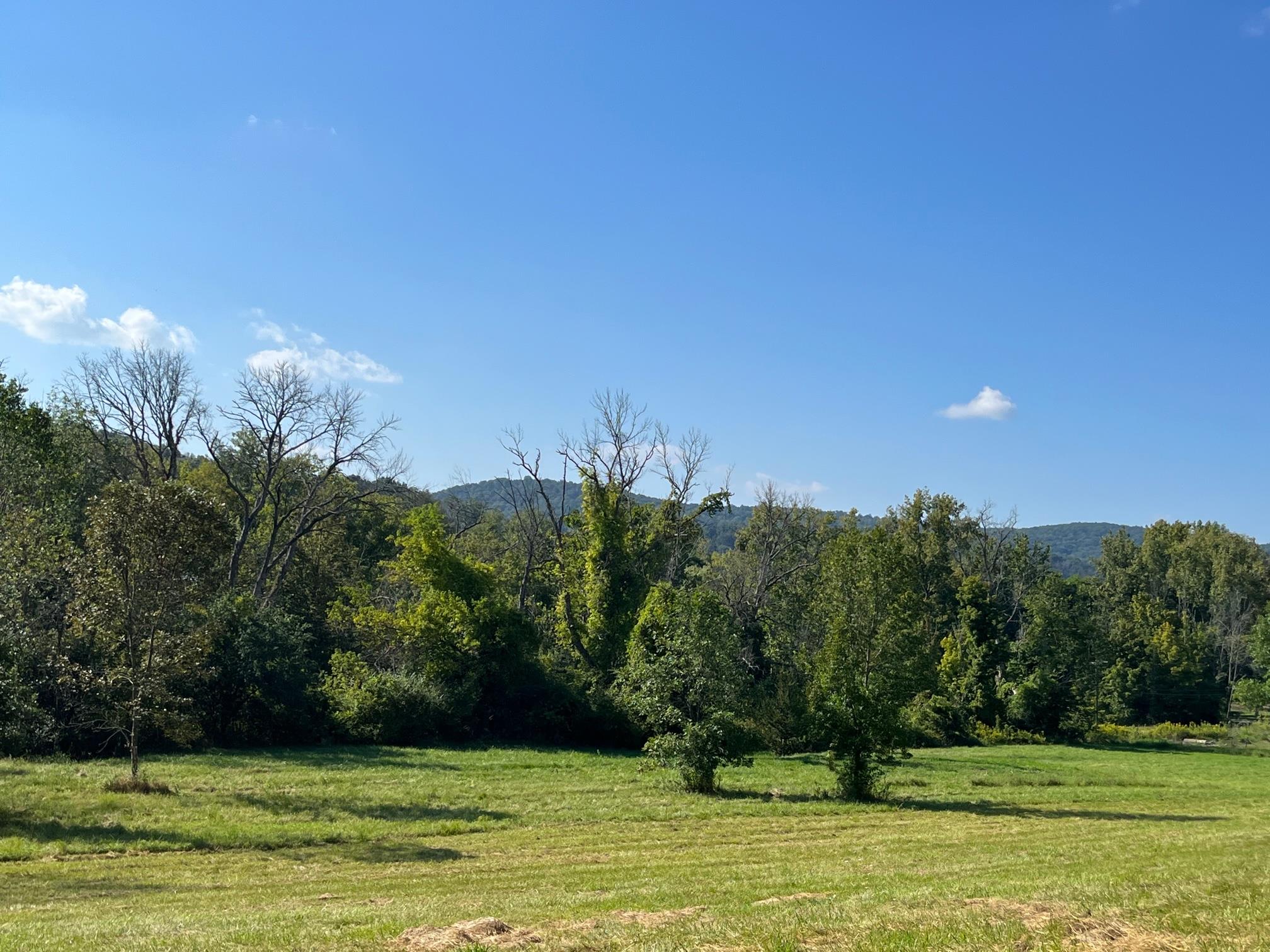 Kent Road, Wassaic, NY 12592