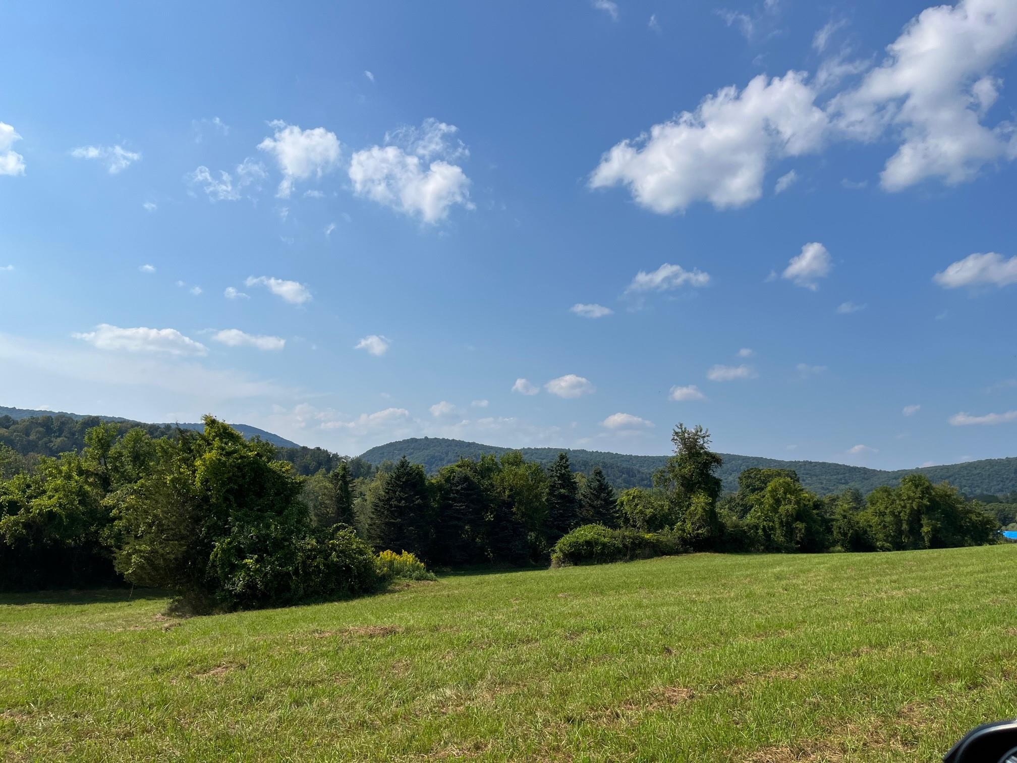 Kent Road, Wassaic, NY 12592