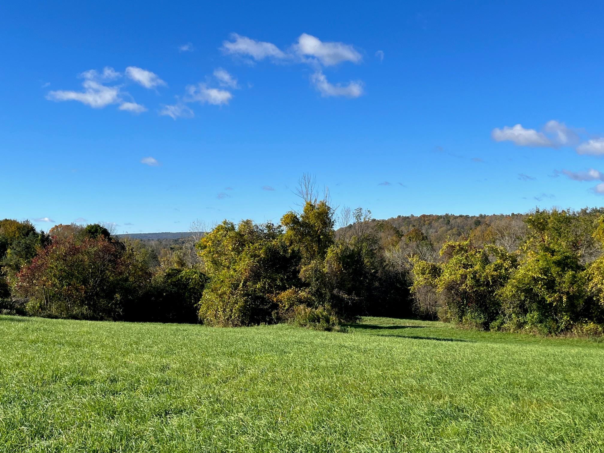 Kent Road, Wassaic, NY 12592