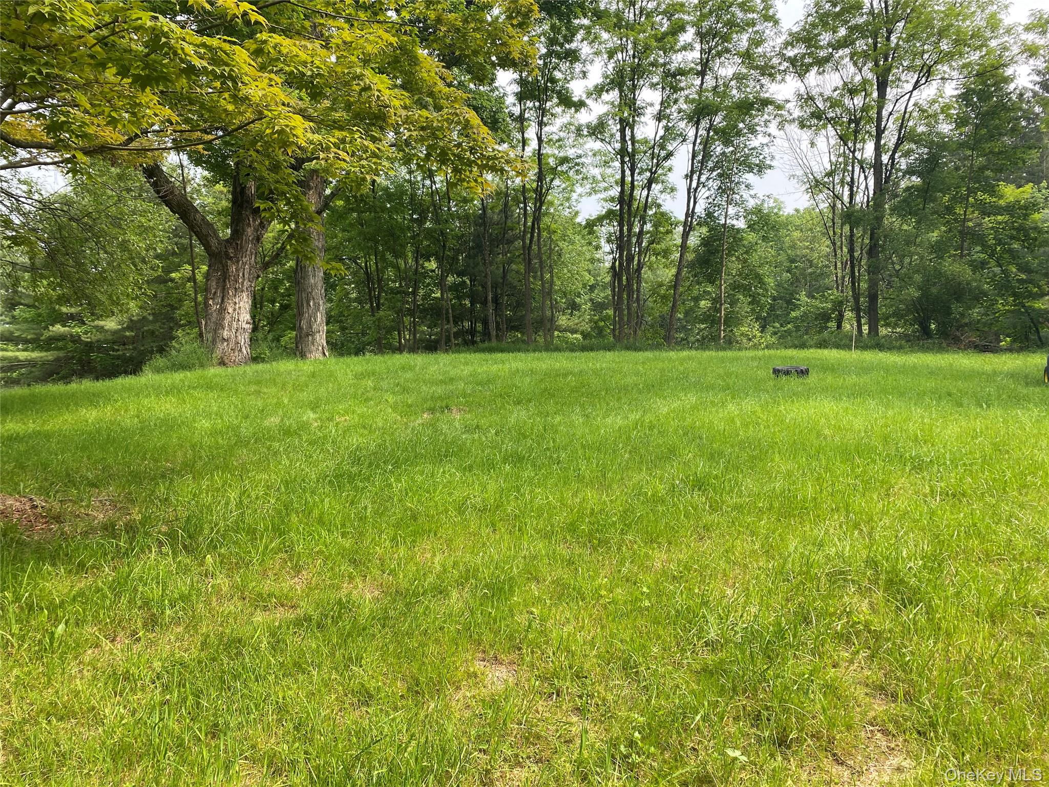 13 Fisher Road, Cochecton, NY 12726