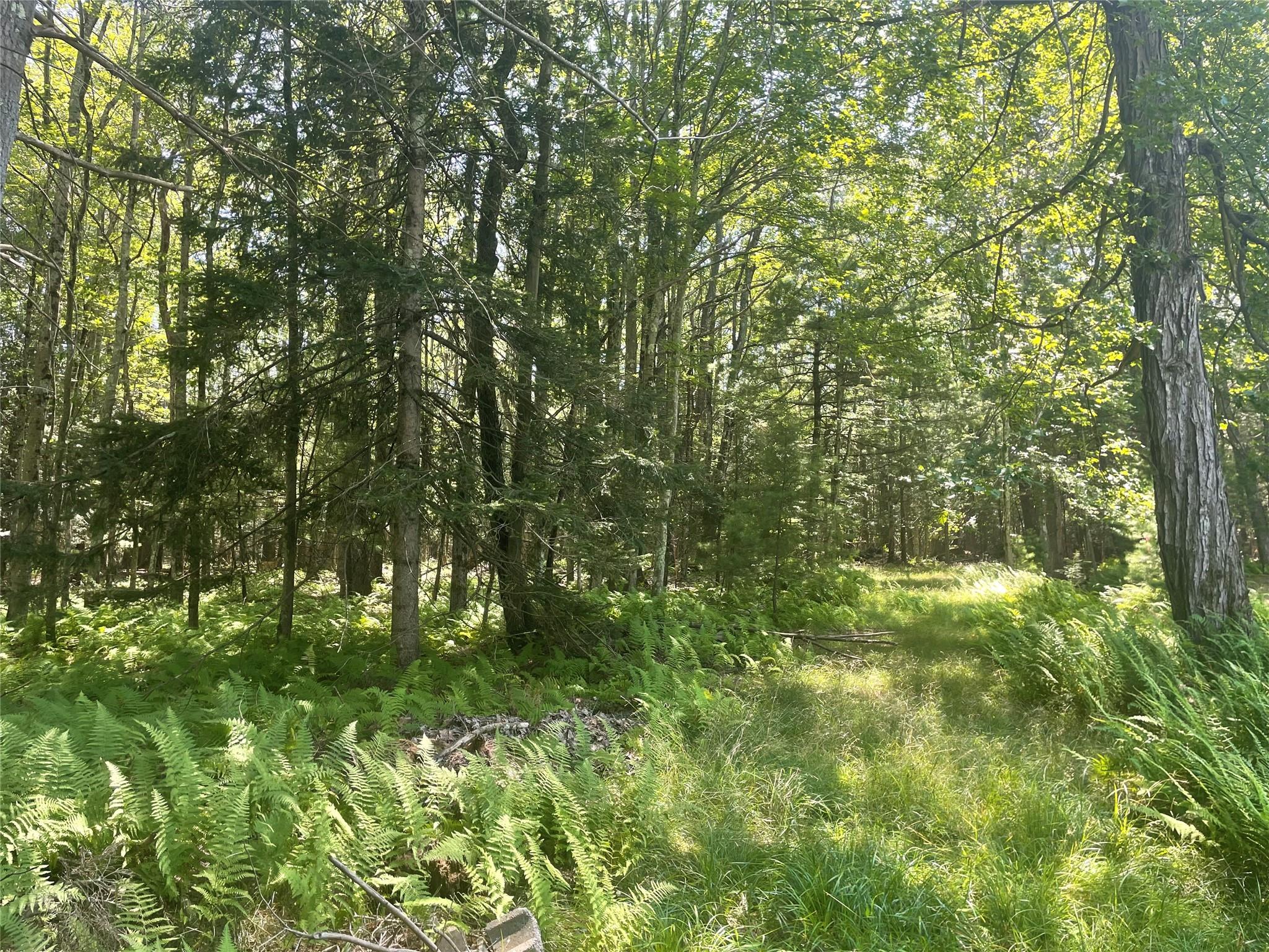 126 Beaver Lake Rd. Road, Rock Hill, NY 12775