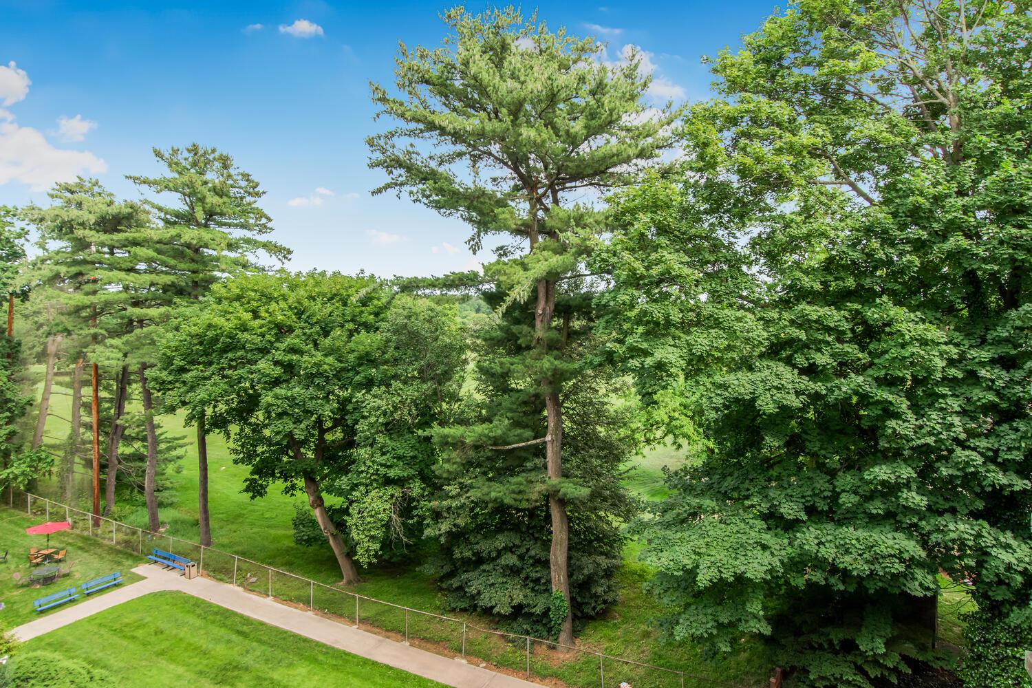 1255 North Avenue # A - 5H, New Rochelle, NY 10804