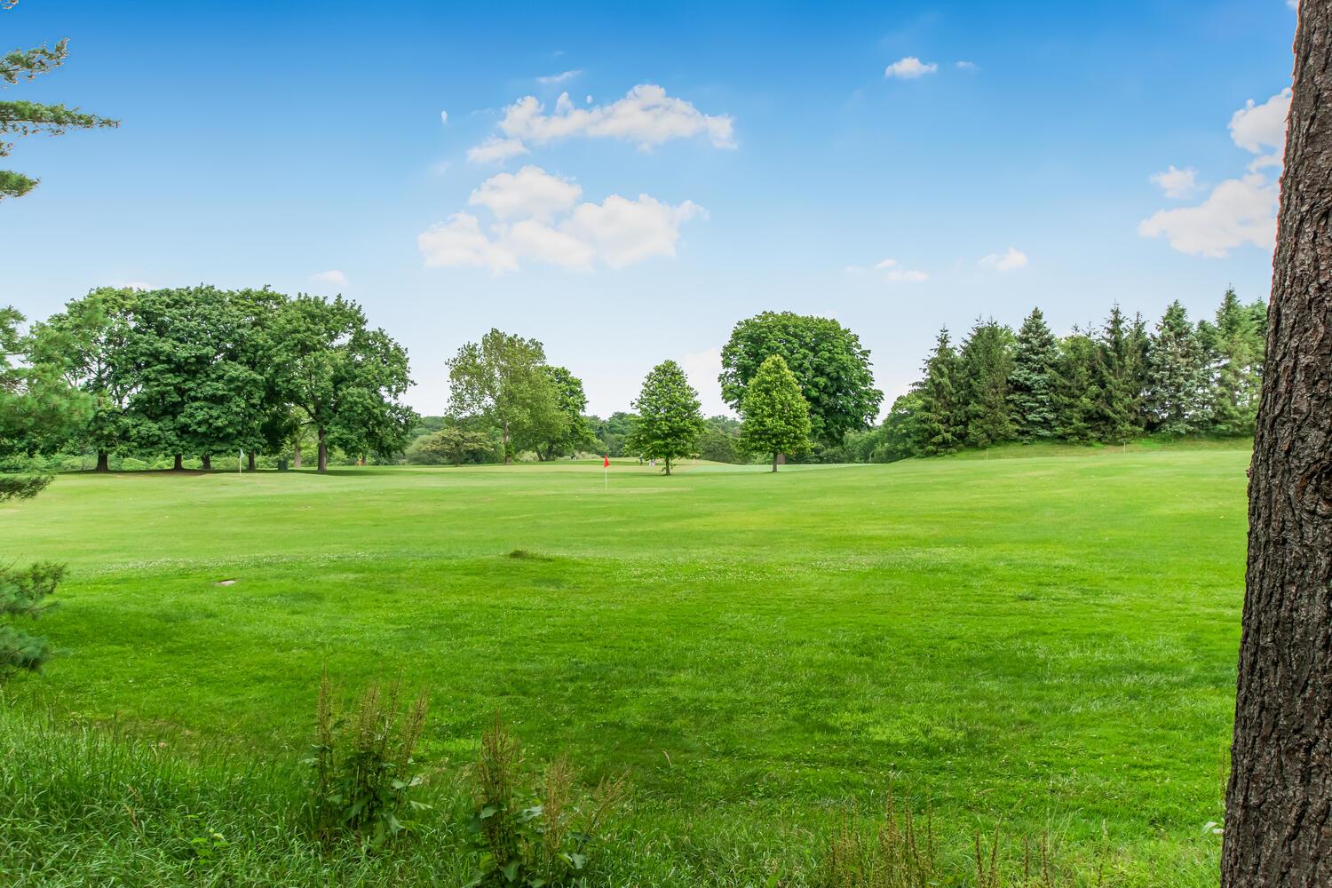 1255 North Avenue # A - 5H, New Rochelle, NY 10804