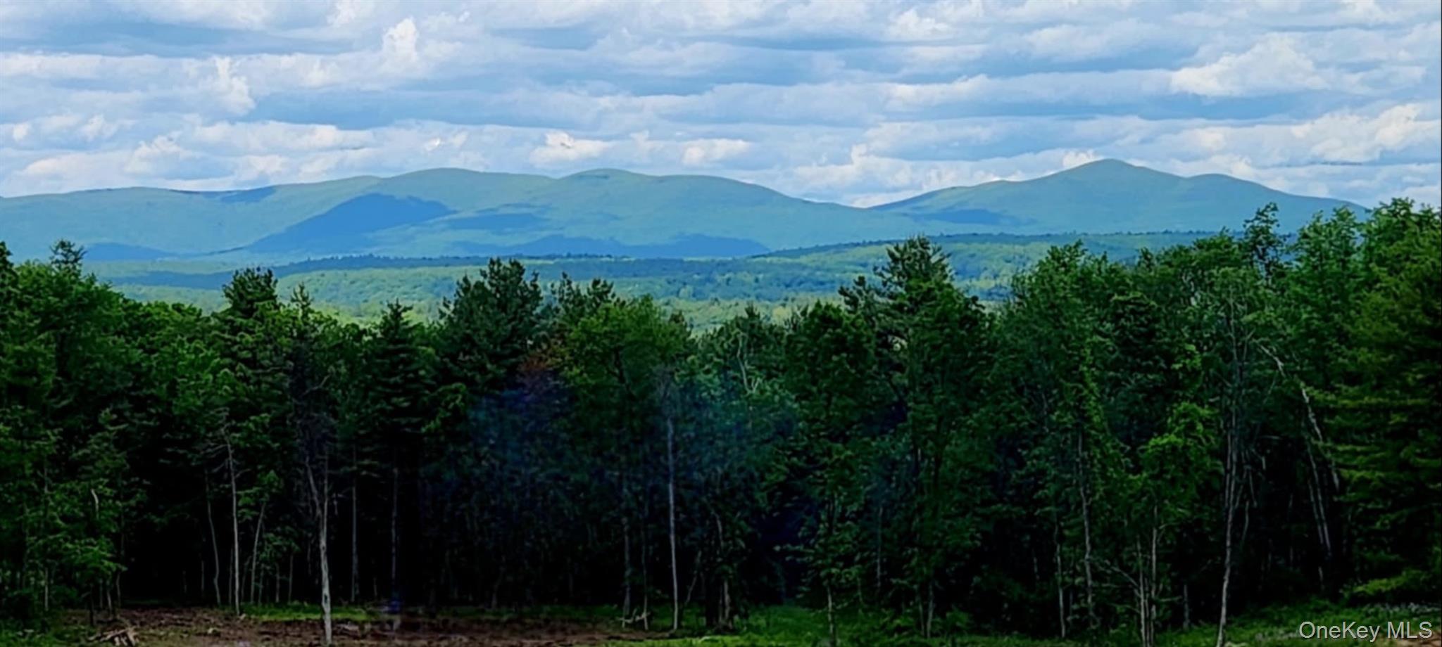 34 Stonykill & Granite Road, Accord, NY 12404