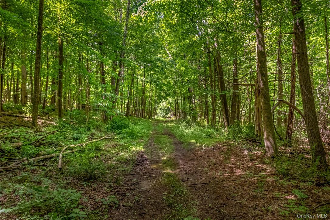 34 Stonykill & Granite Road, Accord, NY 12404