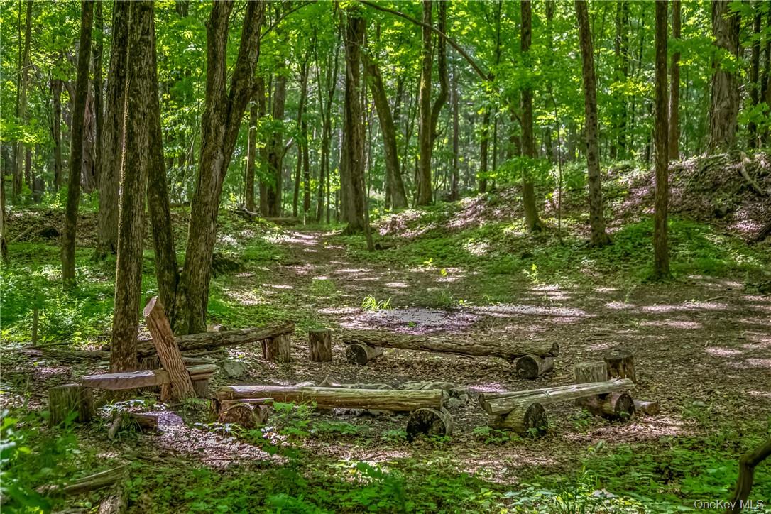 34 Stonykill & Granite Road, Accord, NY 12404