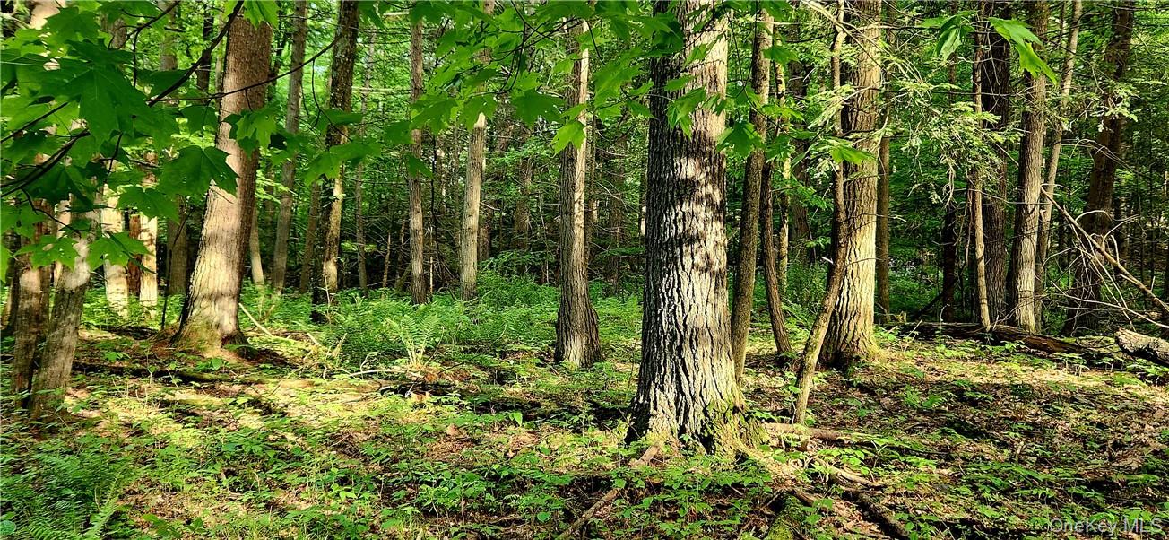 34 Stonykill & Granite Road, Accord, NY 12404