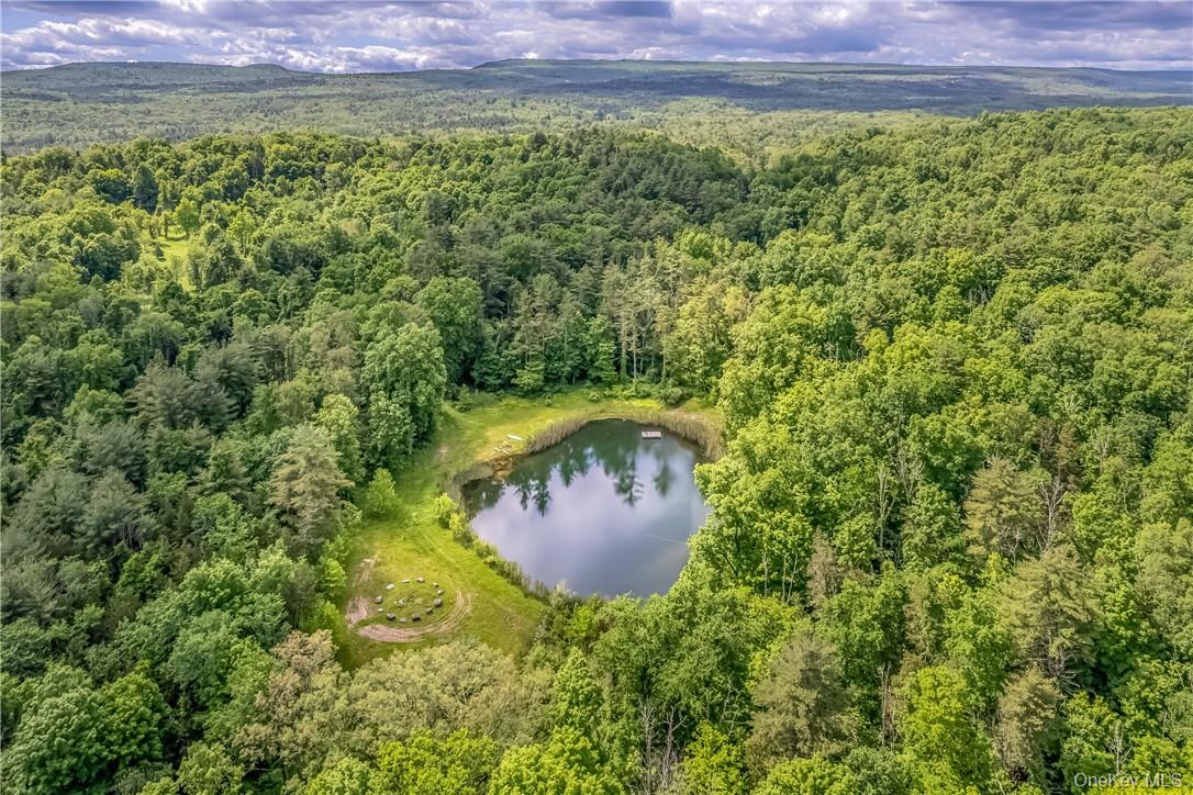 34 Stonykill & Granite Road, Accord, NY 12404