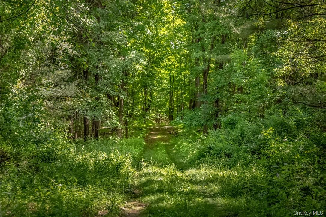 34 Stonykill & Granite Road, Accord, NY 12404